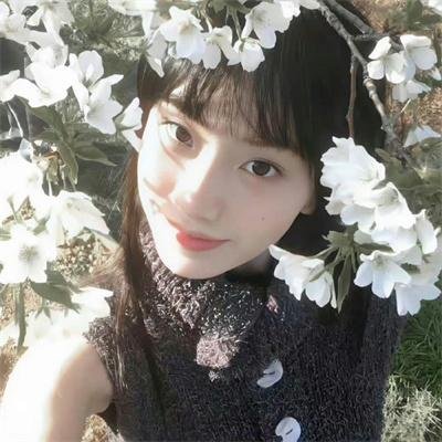 云裳风暴